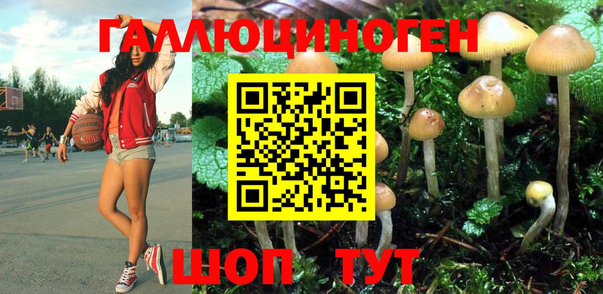 Псилоцибиновые грибы Cubensis  Вход с VPN  Нарткала 